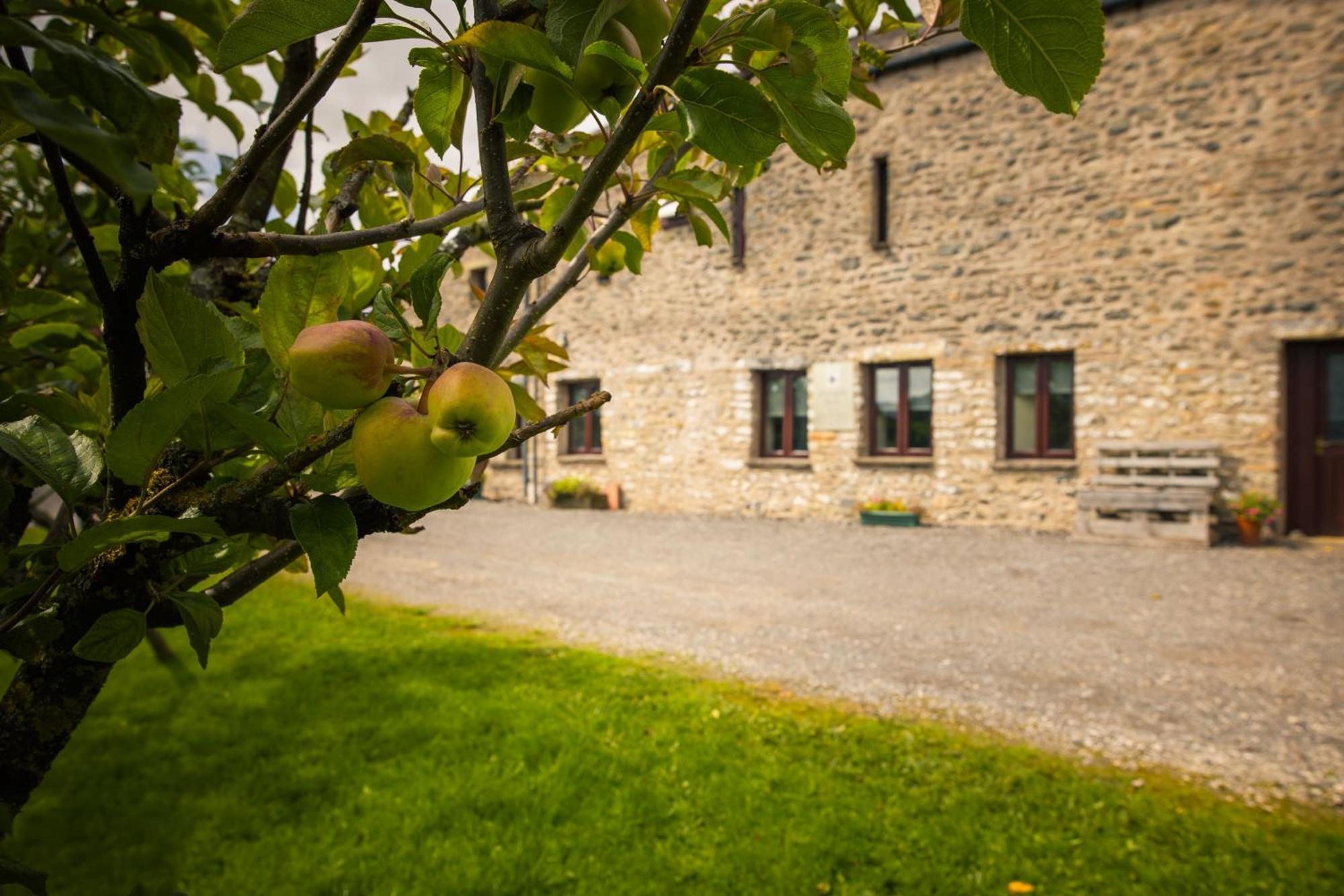 Howgills Barn Villa Sedbergh Exterior foto